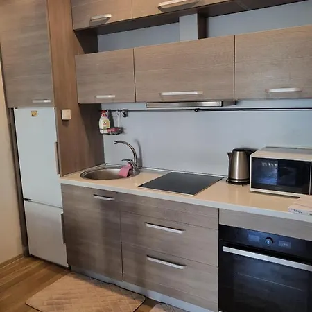 Maluno Vilos - 2 K Butas Appartamento Palanga