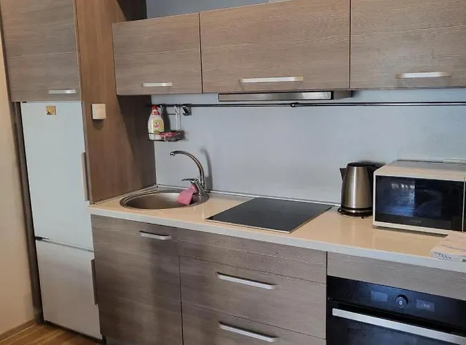 Maluno Vilos - 2 K Butas Appartamento Palanga